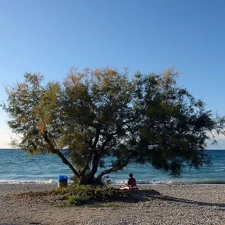 Apartament Vlachos Acharavi